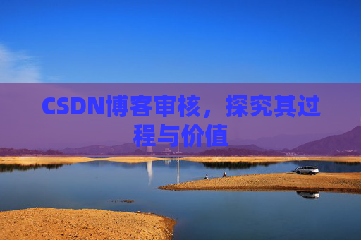 CSDN博客审核，探究其过程与价值